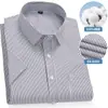 Camisas Masculinas 100% Algodão, Camisas Listradas Azuis de Alta Qualidade, Camisas que Não Amassam, Camisas Casuais de Negócios Masculinas de Alta Qualidade, Tamanhos Grandes