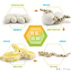 Juguete modelo de animal pequeño simulación ciclo de vida crecimiento rana tortuga pollo Montessori material didáctico preescolar venta al por mayor