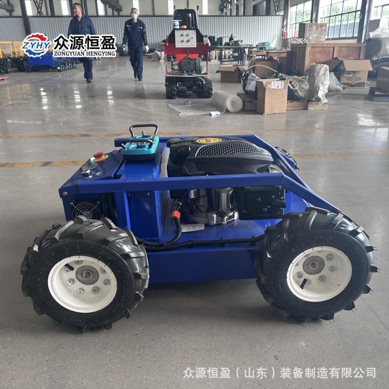 Q猎豹500头图 (13).jpg