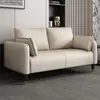 Sofá de Tela Técnica Nórdica para Apartamentos Pequeños, Estilo Moderno Simple, de Dos o Tres Plazas, Adecuado para Sala de Estar, Dormitorio, Tienda de Ropa, Apartamento o Unidad de Alquiler
