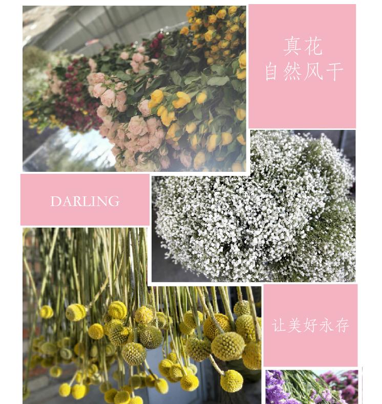详情页12.jpg