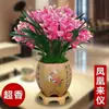 Enviado de BaseEasy fácil de cuidar mudas fortes mudas de orquídea plantas em vaso com botões de flor Jianlan Molan tipo fortemente perfumado orquídeas de interior