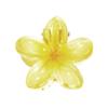Presilha de Rabo de Cavalo Flor de Ovo Acessórios de Cabelo Mais Vendidos da Amazon