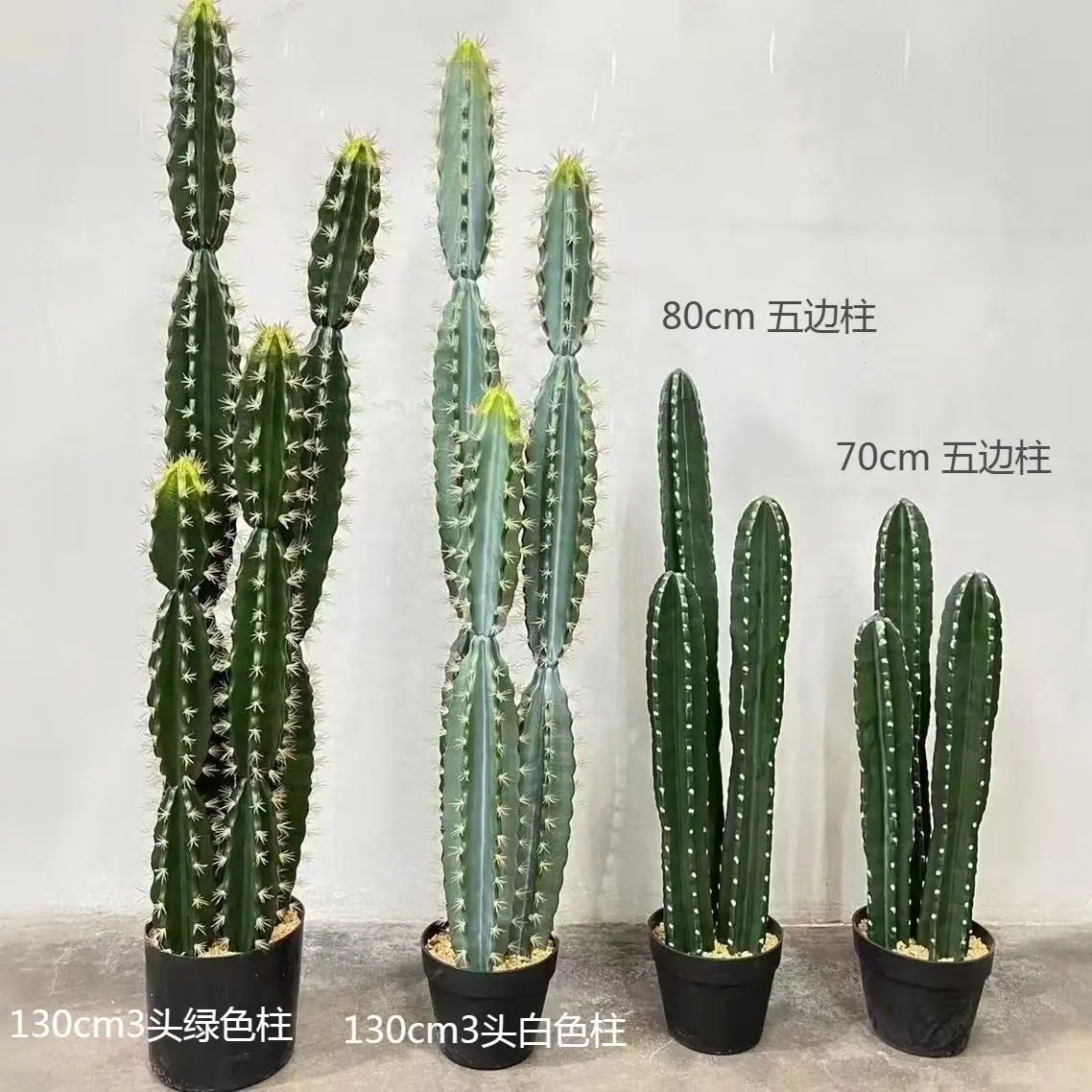 仙人柱1.png