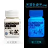 Pigmento Luminoso Tinta Infantil Grafite Conjunto de Pigmentos Brilhantes Pintura Manual DIY Roupas e Sapatos Boneco de Gesso Pigmento Fluorescente