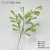 Se recomienda que las hojas pequeñas rotas, las plantas verdes y las ramas y hojas largas sean comúnmente utilizadas por los floristas para hacer hojas verdes y materiales plásticos de lasaña