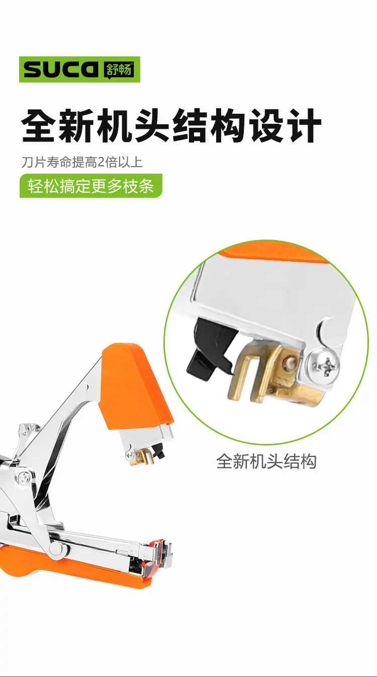 8105橙_13.jpg