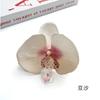 Flores de Orquídea Phalaenopsis Simuladas DIY Grampo de Cabelo Acessório de Cabelo Flores Artificiais DIY Grampo de Cabelo Acessórios para Roupas Decoração de Mesa de Sobremesas