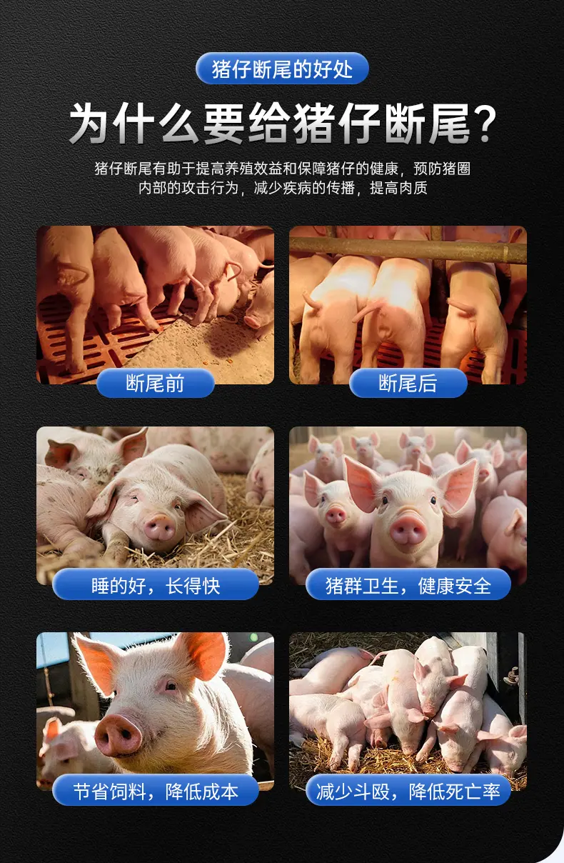 详情123_03.jpg