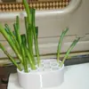 Regenerador de maceta para plantar cebollín y cebolla de verdeo, gadget hidropónico de cocina para cultivo de verduras en balcón casero, herramienta de cultivo para personas perezosas, artículo decorativo