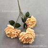 3 Rosas Martin Grandes, Rosas Degradadas Europeas Simuladas, Fotografía en Casa, Accesorios para Fotografía de Boda, Flores Decorativas
