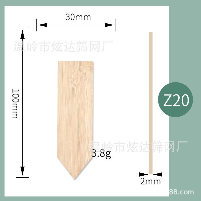 Z20.jpg