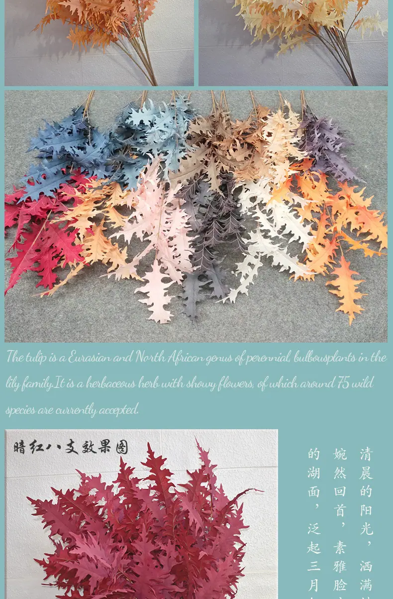 珊瑚叶_06.jpg