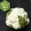Juguete de Berenjena Grande Modelo de Fruta Vegetal Falsa Biónica Arreglo de Escena Adorno de Cocina Accesorio de Fotografía Vegetal de Imitación