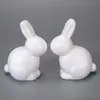 Ventas Directas de Fábrica de Conejos de Poliestireno para Manualidades DIY, Decoraciones de Boda y Festividades, Adornos DIY de Flores Eternas