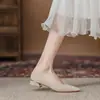 Zapatos de Salón Modernos de Boca Baja y Tacón Fino, Zapatos Profesionales Elegantes para Mujer, Nuevo Estilo Primavera y Verano 2025, Zapatos Planos de Tacón Grueso para el Trabajo