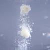 Nuevo cebo para carpas Cuatro Estaciones de Hua Hua Shaoxin cebo de pesca competitiva fórmula de alimento para pesca aparejos de pesca 125 g/bolsa