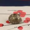 Casco de tartaruga de cobre puro sino pingente de chaveiro de latão pendente para carro presente criativo personalizado venderá presentes