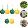 Trampa para moscas Drosophila, trampa para moscas, bola, gusano cogollero, bola, aguja de cítricos, abeja, mosca de la fruta, mosquito amarillo verde, bola, trampa, trampa, trampa