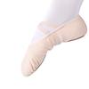 Zapatos de Baile para Mujer Suela Blanda Ballet Infantil Práctica Adulto Cuerpo Garra de Gato Baile Niños y Niñas Maestros Chinos Personalización