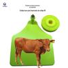 Identificação eletrônica brinco de identificação para gado porco gado ovelha animal manejo identificação brinco de orelha porco gado ovelha brinco de orelha