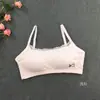 Período de Desenvolvimento de Menina Moda Alça Fina Renda Peça Única Soutien com Bojo de Algodão Alunos do Ensino Fundamental e Médio Roupa Íntima de Algodão com Costura