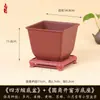 Maceta Cuadrada Creativa Planta Suculenta Árbol de la Fortuna Bonsái Maceta Especial de Jardinería Maceta de Plástico Simple
