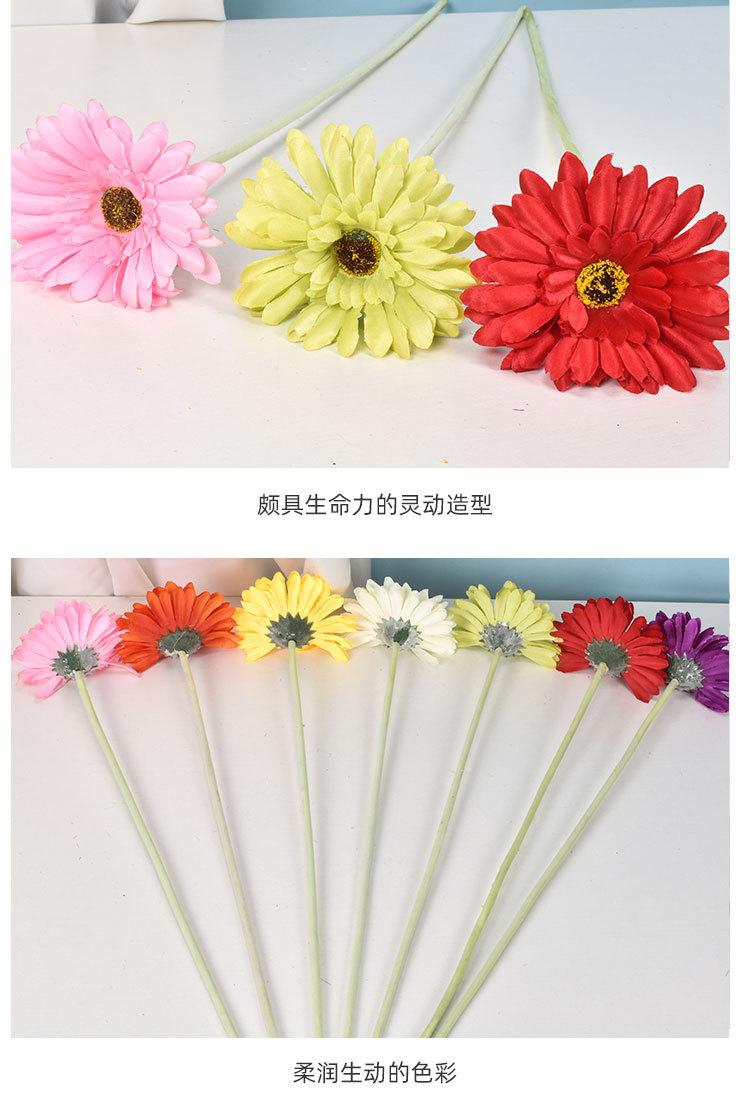 芮贝-仿真非洲菊_08.jpg