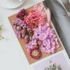 [Kit de Materiales para Repujado A5] Flores Secas Flores Preservadas Marco de Fotos Kit de Materiales para Repujado Materiales Florales DIY Vela Aromática Flores Secas