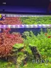 Luz LED para Acuario, Iluminación para Plantas Acuáticas, Luz con Soporte, Luz de Clip de Alto Brillo, Realza el Color, Estimula el Crecimiento de Algas, Espectro Completo