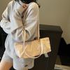 Bolso de Mano Nicho Versión Coreana Bolso Tote para Mujer 2025 Nuevo Trendy Moda Primavera y Verano Bolso Almohada Bolso de Axila Bolso de Hombro