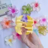 Pinza para el pelo de estilo vacacional romántico y colorido, popular transfronteriza, con flor de plumeria, accesorio floral fresco para el cabello para mujer