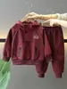 Conjunto de Ropa de Primavera para Niños 1453, Nuevo Estilo Coreano Fresco y Elegante Ropa Infantil, Conjunto de Dos Piezas con Sudadera con Capucha Primavera y Otoño para Bebé Moderno