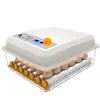 Incubadora Inteligente Totalmente Automática, Incubadora de Huevos Pequeña para el Hogar, Máquina de Eclosión de Pollo, Pato, Ganso, Paloma, Incubadora de Huevos de Pollito