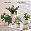 Plantas Verdes Artificiales, Flores Falsas, Flores Artificiales, Plantas Pequeñas de Escritorio en Maceta, Adornos Decorativos, Estanterías, Plantas Verdes Artificiales, Accesorios de Fotografía