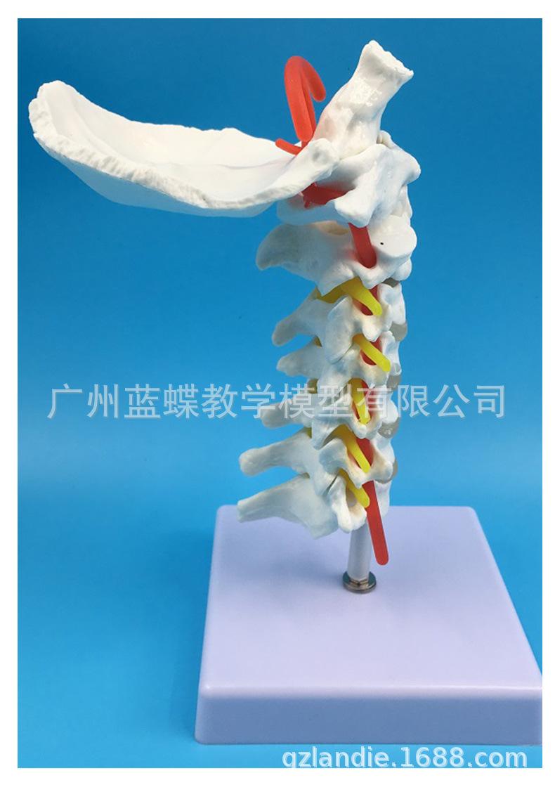 详情_07.jpg