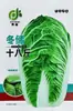 Semillas de Verduras Variadas para Otoño e Invierno, Semillas de Col China, Plántulas con Alta Tasa de Germinación, Nuevas Variedades de Colza Empresas Mayoristas