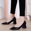 Zapatos de Mujer 2025 Nuevo Otoño Estilo Coreano Punta Afilada Zapatos Slip-On Tacón Grueso Boca Baja Sexy Tacones Altos Zapatos Profesionales