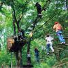 Proyecto de Aventura en la Jungla al Aire Libre para Instalación Familiar en Árboles