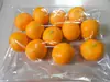 Accesorios de modelo de frutas y verduras de simulación Manzana Falsa Naranja Pera Pimiento Patata Hoja de Verdura Fotografía Suministros de Educación Preescolar