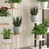 Suporte de Flores de Chão para Sala de Estar Varanda, Rack de Vasos de Flores de Ferro, Suporte Moderno Minimalista para Plantas Verdes, Suporte de Vasos de Flores Multicamadas para Interior
