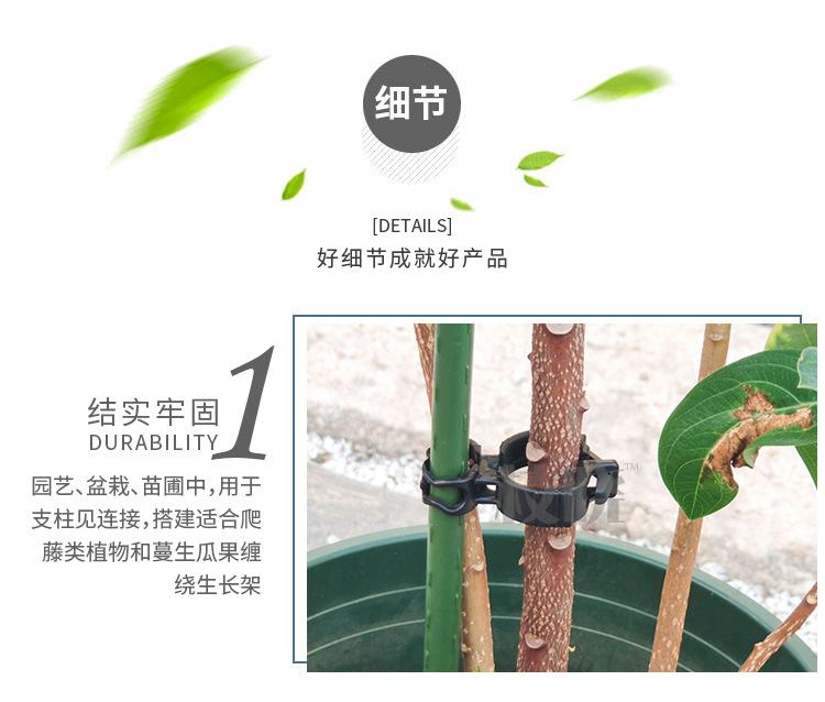 葫芦圈_05.jpg