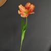 Mangueira simulada 2 folhas Flor barroca Abertura Tulipa Casa Modelo Quarto Decoração de casamento Flor falsa Atacado