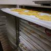 Malla para Deshidratador de Alimentos Esterilla para Vaporera de Panes Horneado Resistente a la Temperatura Antiadherente Frutas Té Secador de Aire Esterilla de Silicona