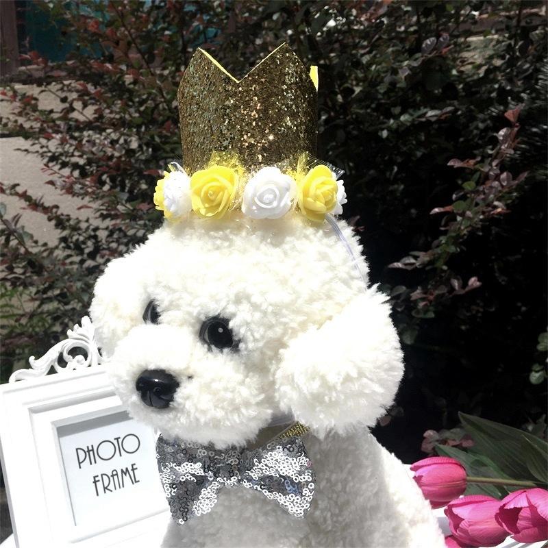 webwxgetmsgimg34_看图王