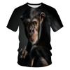 Camiseta de moda caliente de fábrica directa mono gorila para hombre impresión digital 3D manga corta top