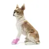 Calcetines rosa para mascotas