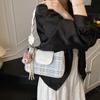 Bolsa Pequena para Mulheres 2025 Primavera Nova Estilo Coreano Bolsa Transversal Nicho Moda Casual Simples Retro Bolsa de Axila