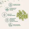 Exportação Transfronteiriça Amazon Cápsulas de Moringa Cápsulas de Moringa Oleifera Venda Direta da Fábrica Atacado