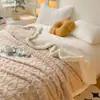 Manta de pelúcia lisa transfronteiriça jacquard dupla camada espessa lã de cordeiro flanela outono e inverno manta de cobertura